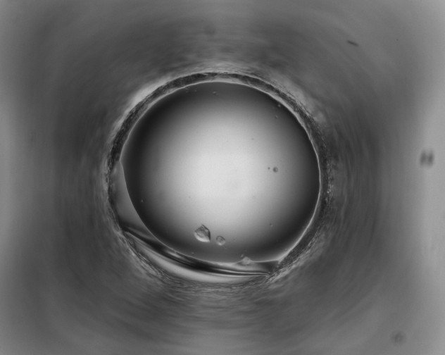 X0000098131264200804171512