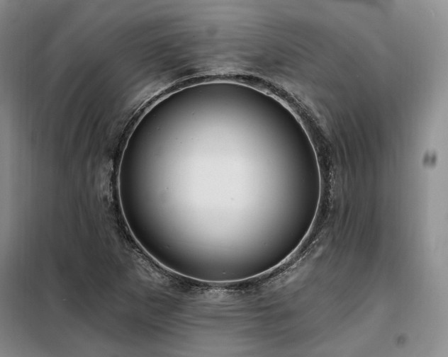 X0000098131265200804171512
