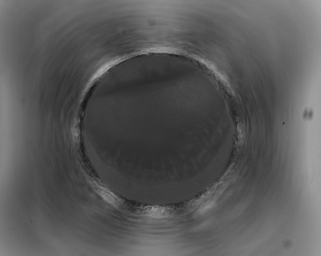 X0000098131266200804171512