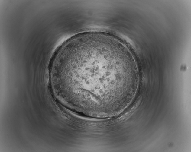 X0000098131267200804171512