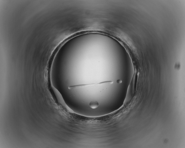 X0000098131268200804171512