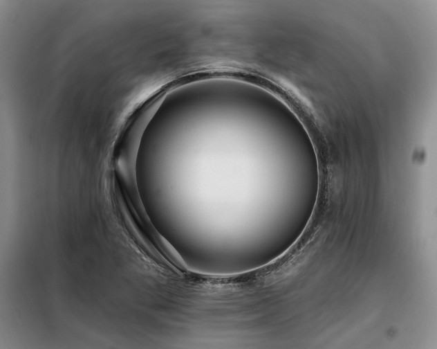 X0000098131269200804171512