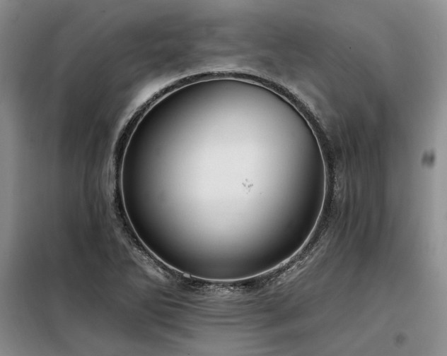 X0000098131270200804171512