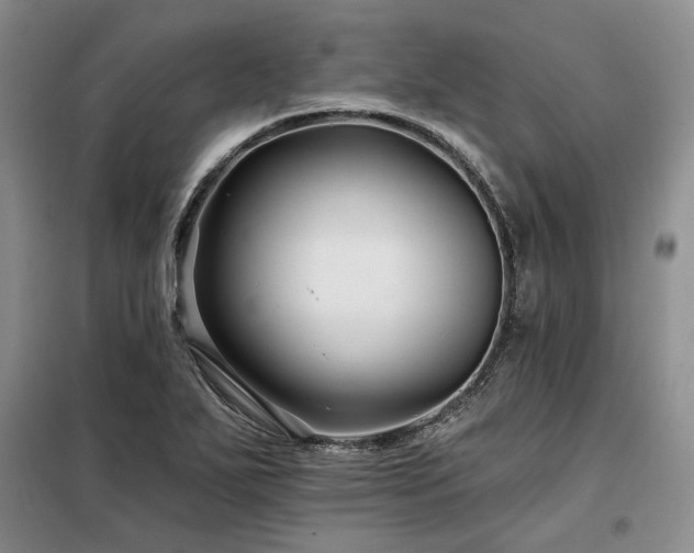 X0000098131271200804171512