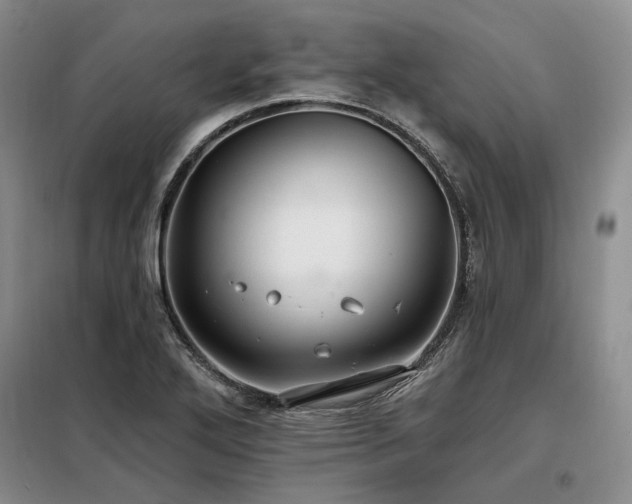 X0000098131272200804171512