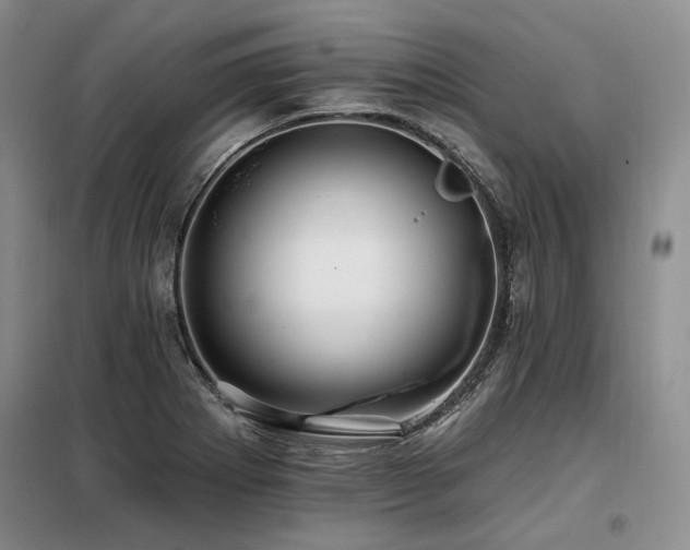 X0000098131273200804171512