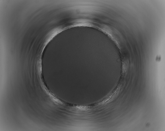 X0000098131274200804171512