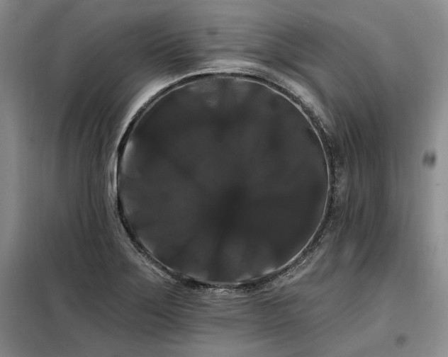 X0000098131275200804171512