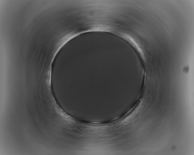 X0000098131276200804171512