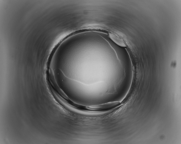 X0000098131277200804171512