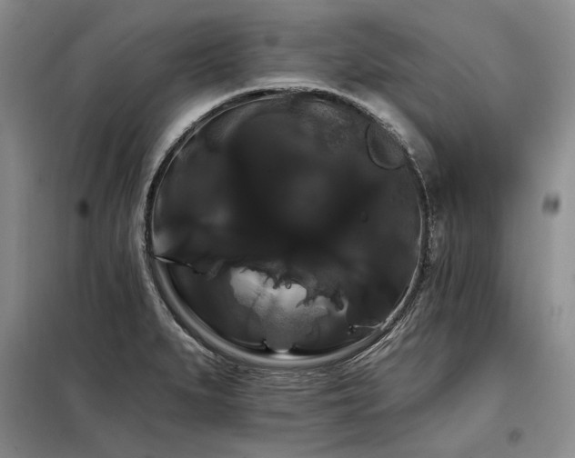 X0000098131279200804171512