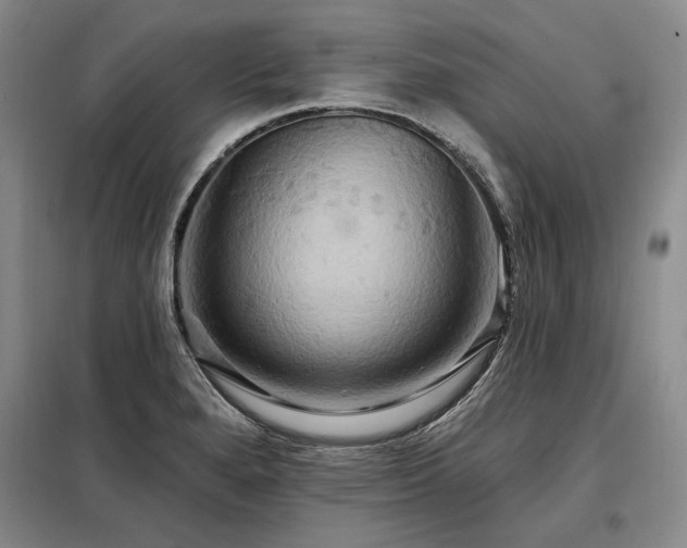 X0000098131280200804171512