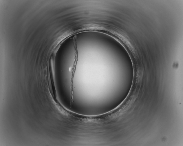 X0000098131281200804171512