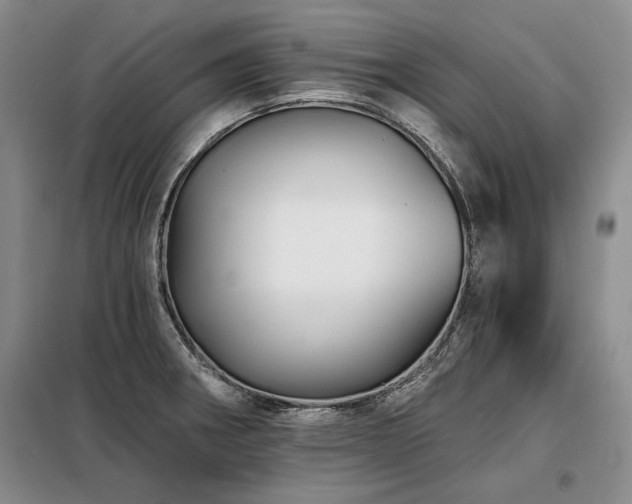 X0000098131282200804171512