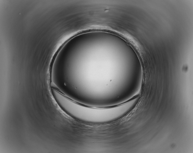 X0000098131287200804171512