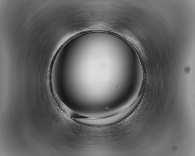 X0000098131288200804171512