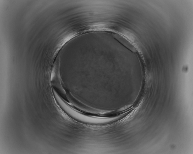 X0000098131289200804171512
