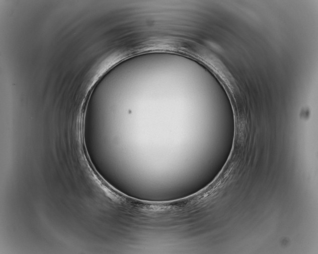 X0000098131290200804171512