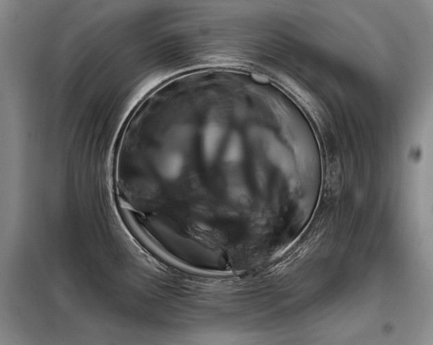 X0000098131291200804171512