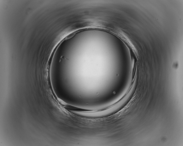 X0000098131292200804171512
