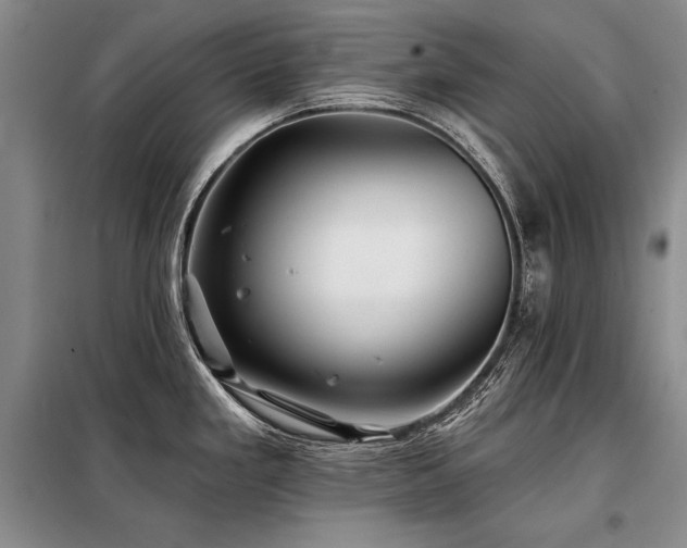 X0000098131293200804171512