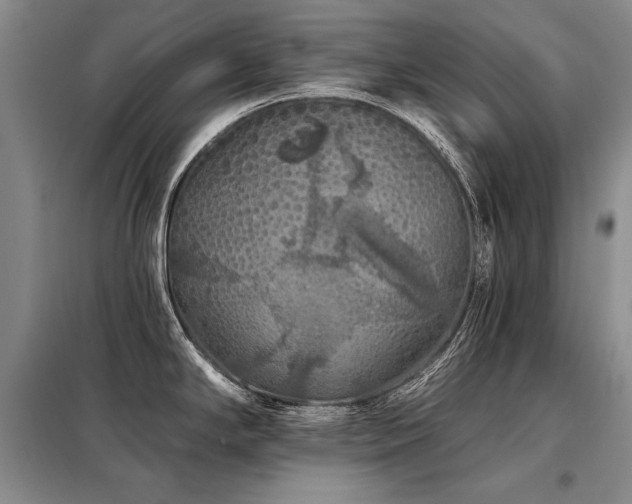X0000098131294200804171512