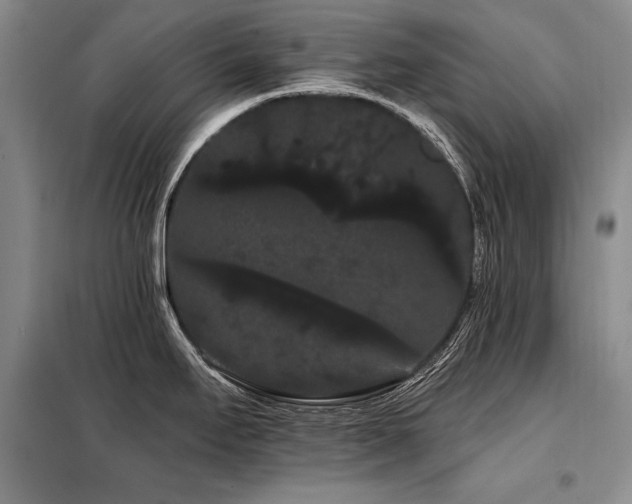 X0000098131295200804171512