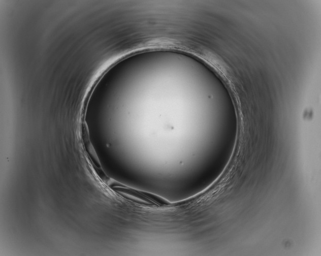 X0000098131296200804171512