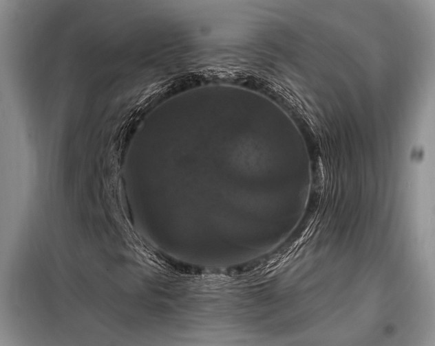 X0000098131297200804171511