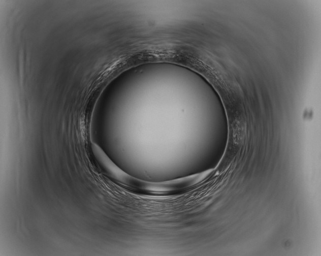 X0000098131298200804171511