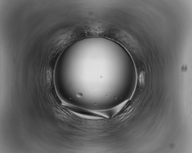 X0000098131299200804171511