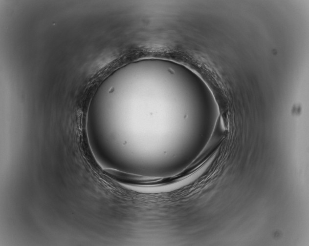 X0000098131301200804171511