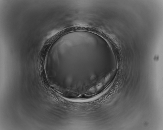 X0000098131303200804171511