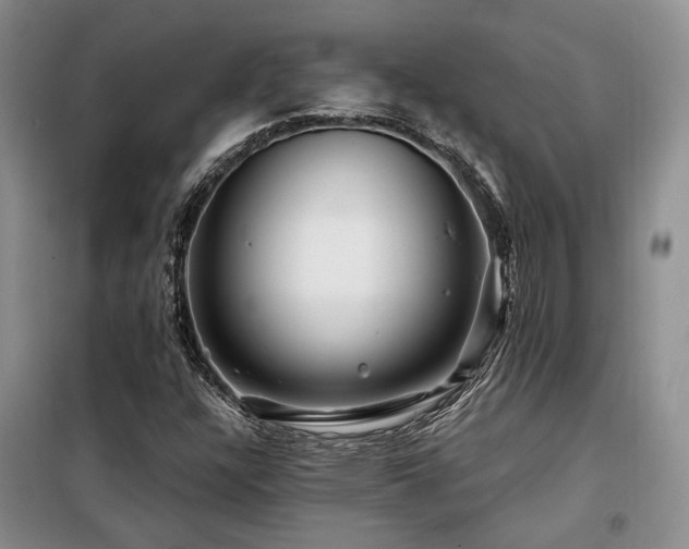 X0000098131304200804171511