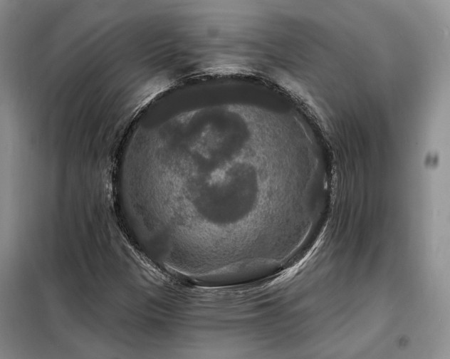 X0000098131305200804171511