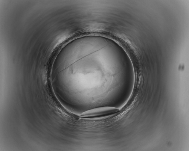 X0000098131306200804171511