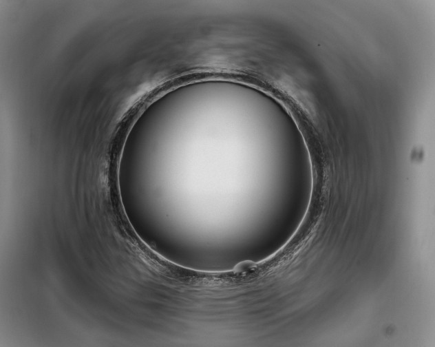 X0000098131307200804171511