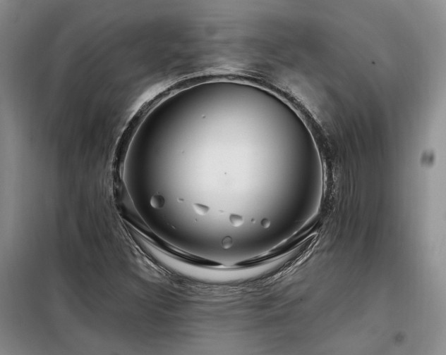 X0000098131308200804171511