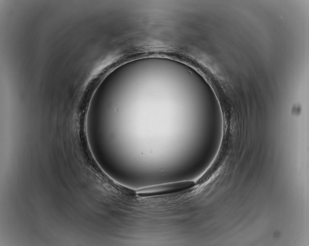 X0000098131309200804171511