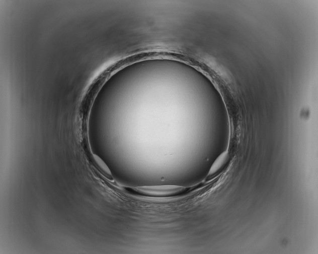 X0000098131310200804171511