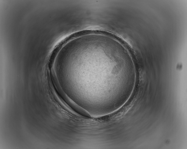 X0000098131311200804171511