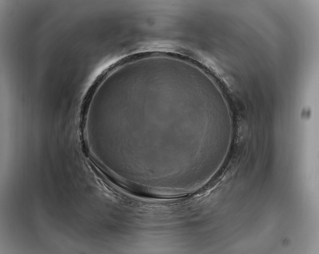 X0000098131312200804171511