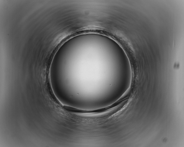 X0000098131313200804171511