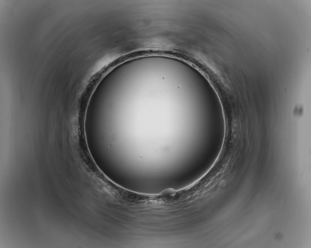X0000098131315200804171511