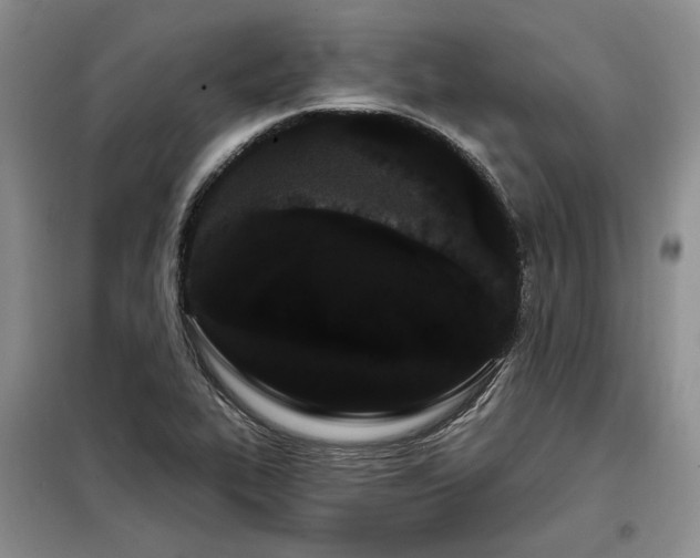 X0000098131319200804171511