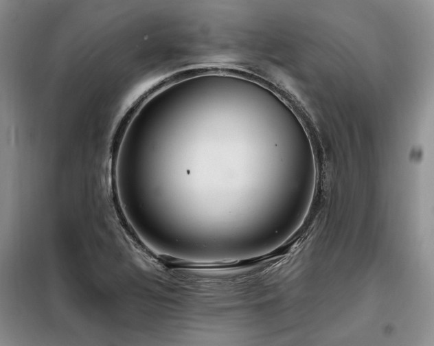 X0000098131320200804171511