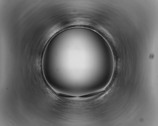 X0000098131321200804171511
