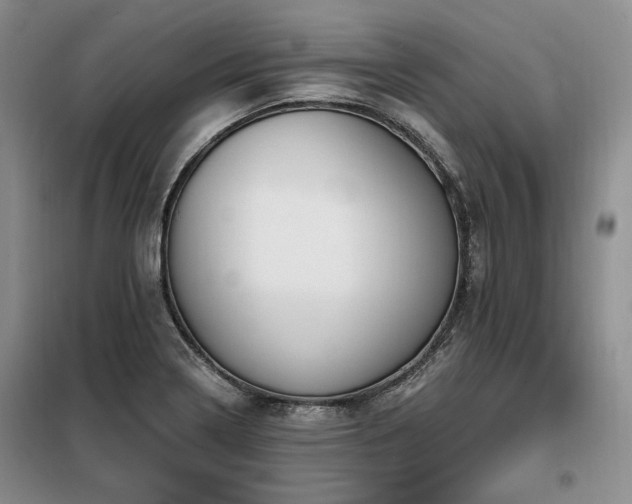 X0000098131322200804171511