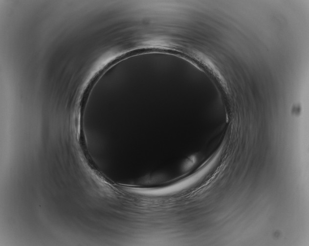 X0000098131323200804171511