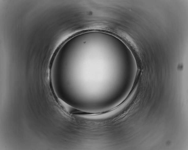 X0000098131324200804171511